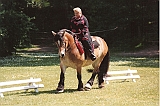 Dressurkuer Reken 2005
